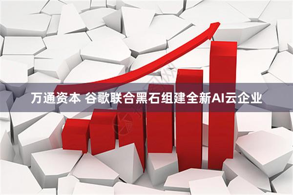 万通资本 谷歌联合黑石组建全新AI云企业