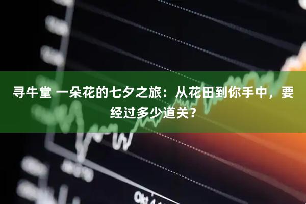 寻牛堂 一朵花的七夕之旅：从花田到你手中，要经过多少道关？