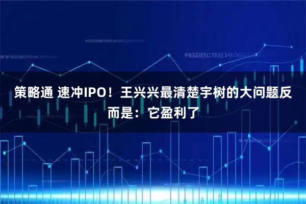 策略通 速冲IPO！王兴兴最清楚宇树的大问题反而是：它盈利了